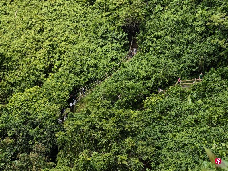 緑に覆われた休眠火山の斜面に、人々が歩く階段が作られている